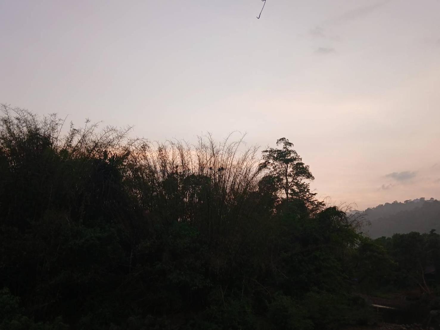 Bamboo House Hotel Khao Sok National Park Exterior photo